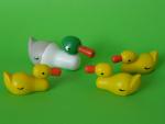 Bild zum Artikel: Enten-Familie, 4-teilig
